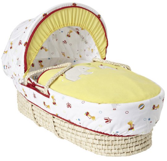 moses basket mother care
