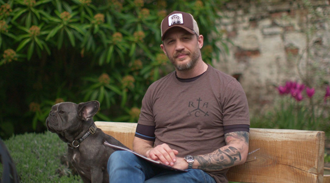 Tom Hardy Returns To Cbeebies Bedtime Stories For Christmas 